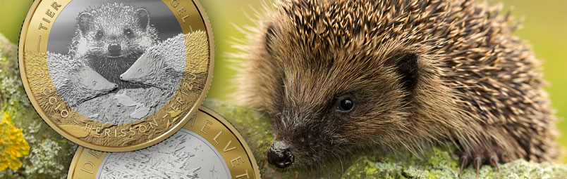 A Prickly Commemorative