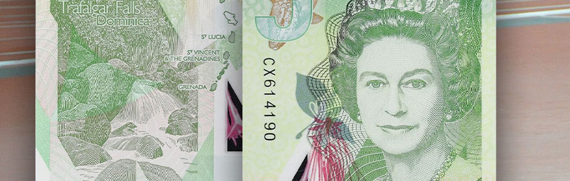 Caribbean Icons on Paper