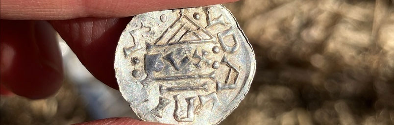 Historic Viking Age Hoard