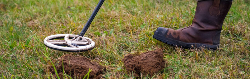 Huge Treasure Find in British Field