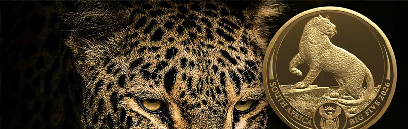 Walk on the Wild Side