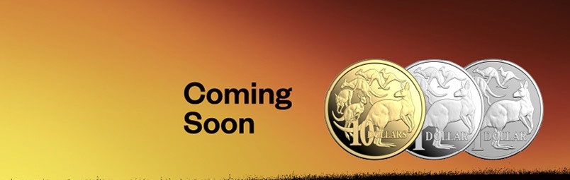 2026 Kangaroo Series Showcases Mob of Six Roos